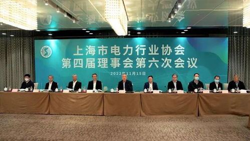 海鄭實業(yè)再次擔任上海市電力行業(yè)協(xié)會理事會會議監(jiān)票人